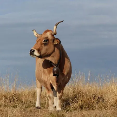 La Grange De Feriehus